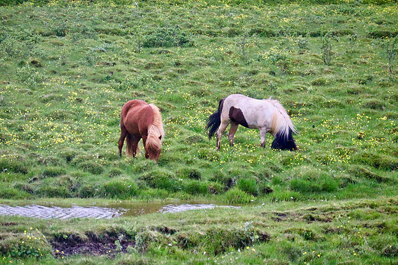 Reykjavik, Iceland July 7-8/2018