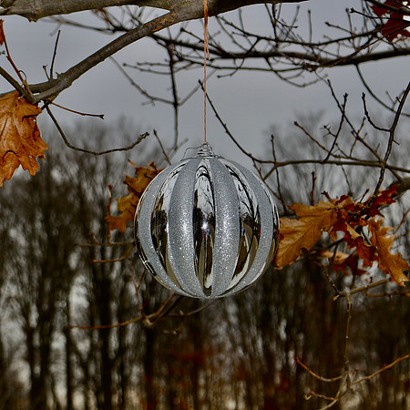 Mary - Ornamental Lensball