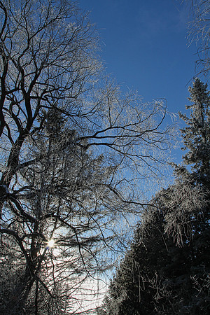 Secord Forest & Wildlife Jan 8/21