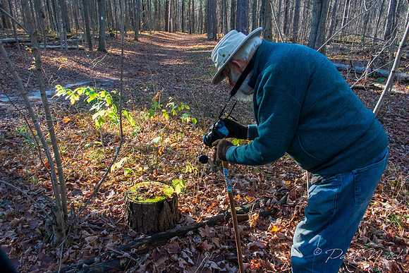 Sig Photographing Mushrooms on the stump
