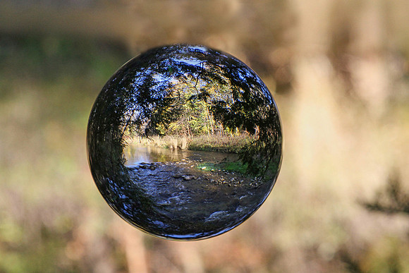 Seaton Hiking Trail Oct 28,2021