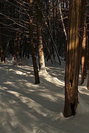 Uxbridge Countryside Trails Jan 25/22
