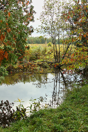 Rouge National Urban Park, Coyote Trail