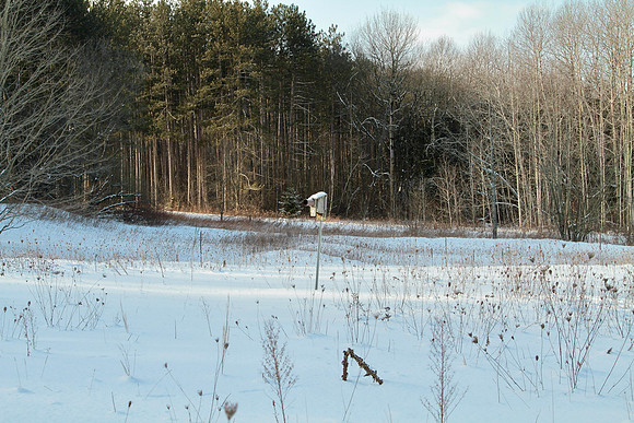 Uxbridge Countryside Trails Jan 25/22