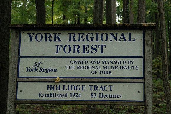 Hollidge Tract Oct 5/21