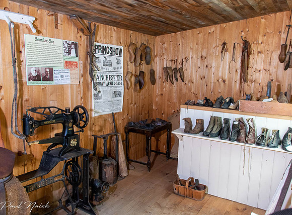 9. Harness Shop